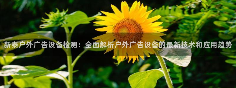 杏宇平台代理怎么赚钱