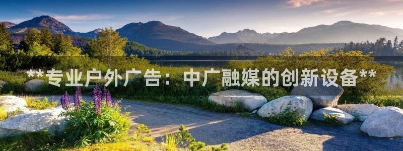 杏宇平台测速链接：**专业户外广告：中广融媒的创新设备**