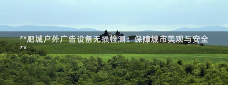 杏宇官方平台官网：**肥城户外广告设备无损检测：保障城市美观与安全
**