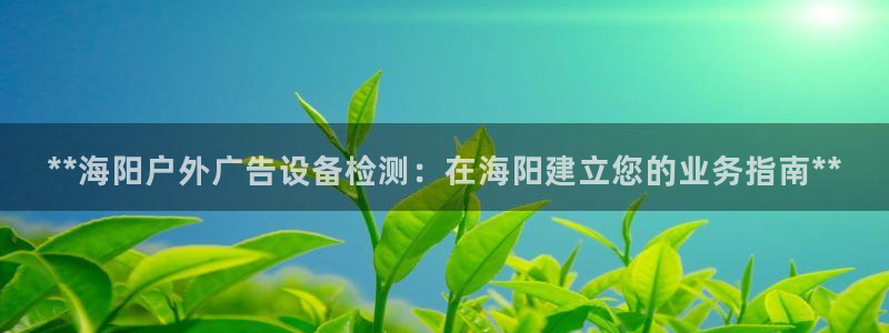 杏宇官方平台官网入口：**海阳户外广告设备检测：在海阳建立您的业务指南**