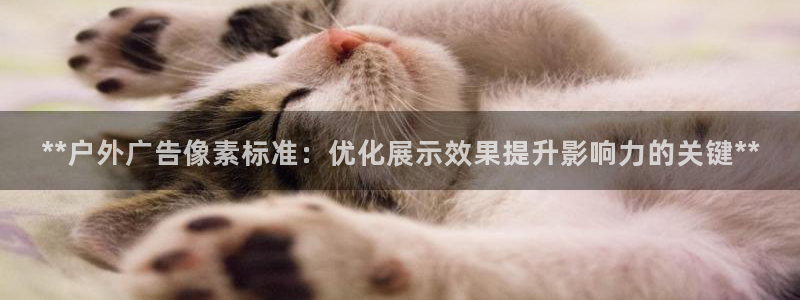 杏宇平台怎么样知乎：**户外广告像素标准：优化展示效果提升影响力的关键**