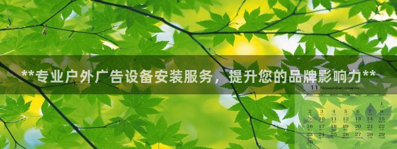 杏宇平台代理多少钱一次：**专业户外广告设备安装服务，提升您的品牌影响力**