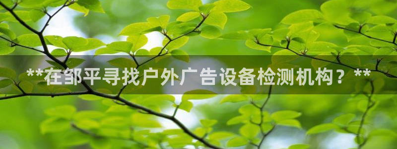 杏宇平台注册登录：**在邹平寻找户外广告设备检测机构？**