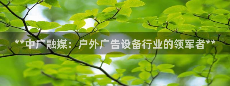 杏宇平台怎么样：**中广融媒：户外广告设备行业的领军者**
