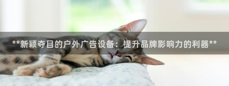 杏宇官方平台官网入口：**新颖夺目的户外广告设备：提升品牌影响力的利器**
