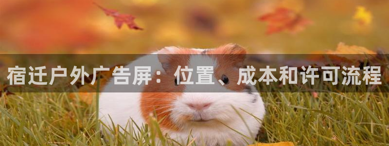 杏宇平台代理怎么样：宿迁户外广告屏：位置、成本和许可流程