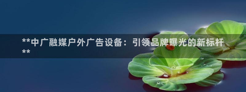 杏宇平台怎么样：**中广融媒户外广告设备：引领品牌曝光的新标杆
**