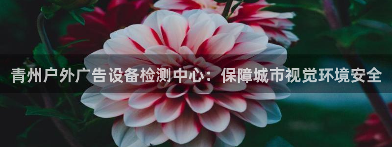 杏宇平台代理多少钱一次：青州户外广告设备检测中心：保障城市视觉环境安全