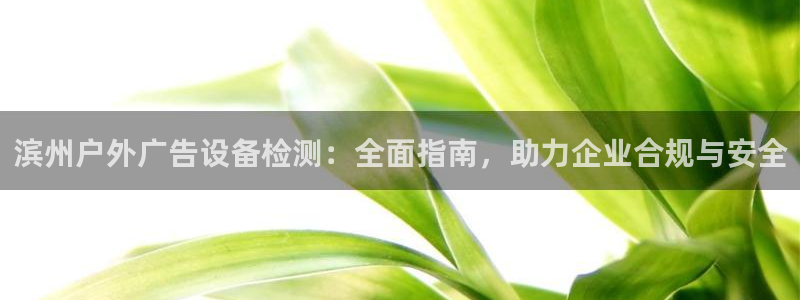 杏宇代理注册：滨州户外广告设备检测：全面指南，助力企业合规与安全