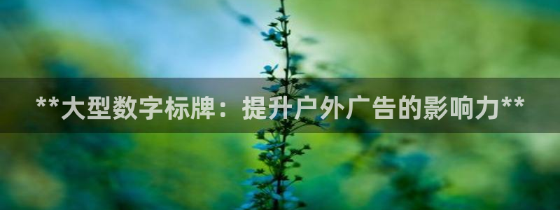 杏宇平台代理怎么样啊：**大型数字标牌：提升户外广告的影响力**