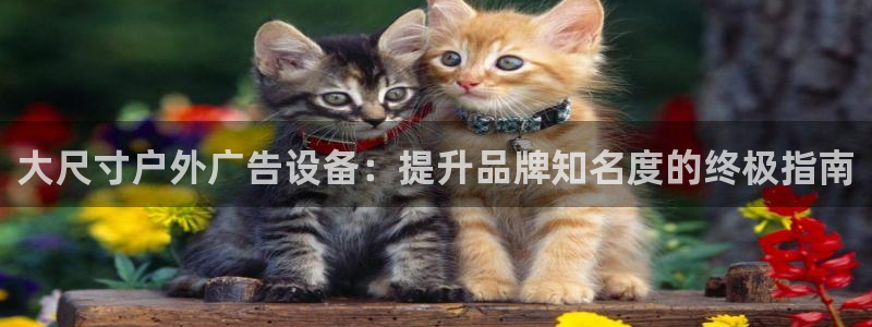 杏宇平台好吗