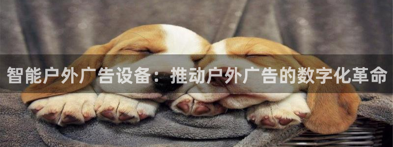 杏宇平台代理怎么样可靠吗