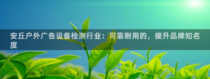 杏宇平台官网注册：安丘户外广告设备检测行业：可靠耐用的，提升品牌知名
度