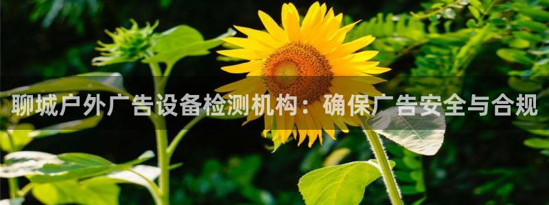 杏宇平台是什么：聊城户外广告设备检测机构：确保广告安全与合规