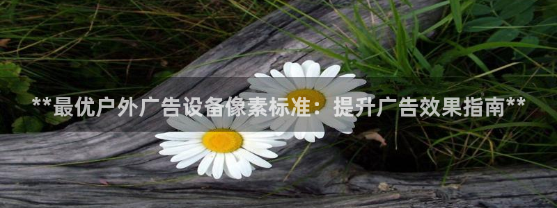 杏宇平台开户：**最优户外广告设备像素标准：提升广告效果指南**