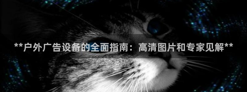 杏宇平台怎么样：**户外广告设备的全面指南：高清图片和专家见解**