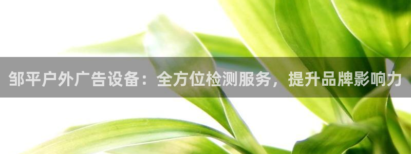 杏宇平台官网注册：邹平户外广告设备：全方位检测服务，提升品牌影响力