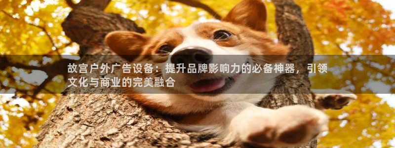 杏宇平台提现为什么这么久呢：故宫户外广告设备：提升品牌影响力的必备神器，引领
文化与商业的完美融合