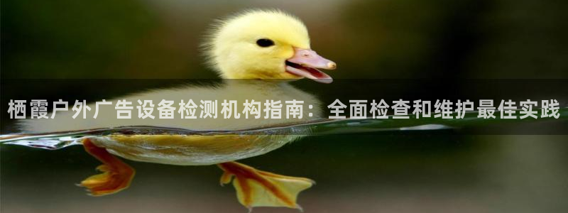 杏宇平台登录步骤是什么：栖霞户外广告设备检测机构指南：全面检查和维护最佳实践