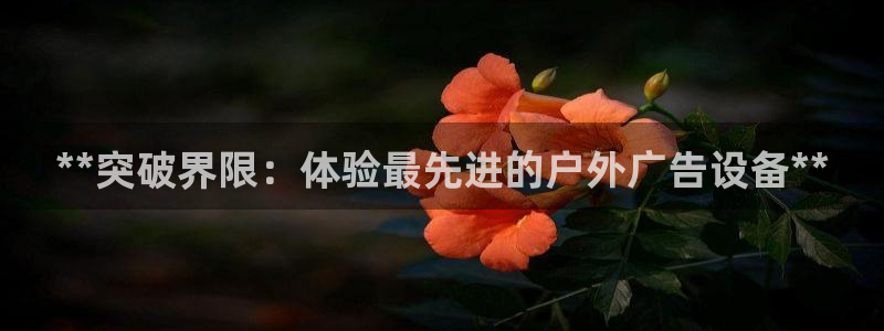 杏宇代理注册：**突破界限：体验最先进的户外广告设备**