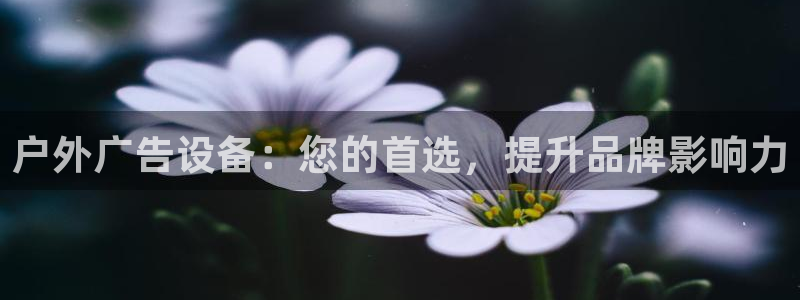 杏宇平台怎么样：户外广告设备：您的首选，提升品牌影响力