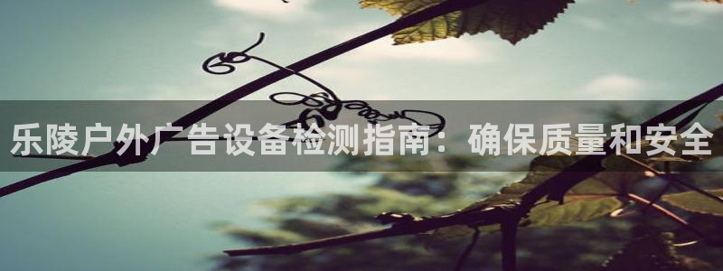 杏宇官方平台官网下载：乐陵户外广告设备检测指南：确保质量和安全