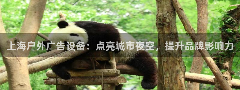 杏宇平台招商：上海户外广告设备：点亮城市夜空，提升品牌影响力