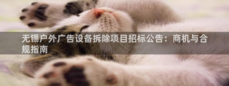 杏宇平台招商怎么样：无锡户外广告设备拆除项目招标公告：商机与合
规指南