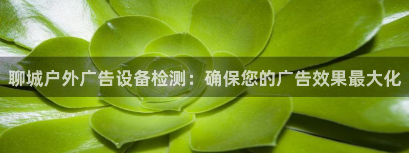杏宇平台怎么样知乎：聊城户外广告设备检测：确保您的广告效果最大化