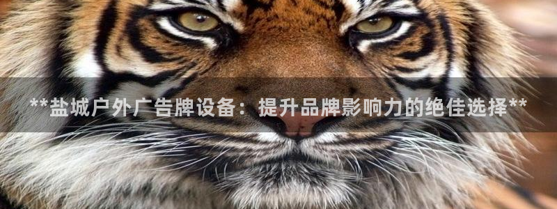 杏宇平台代理怎么赚钱的：**盐城户外广告牌设备：提升品牌影响力的绝佳选择**