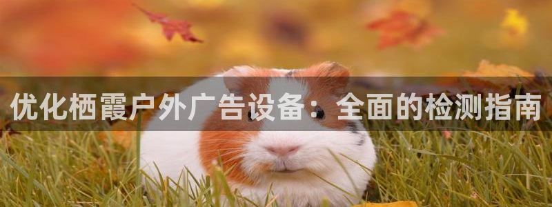 杏宇平台代理多少钱一次：优化栖霞户外广告设备：全面的检测指南