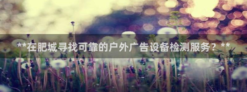 杏宇平台是什么：**在肥城寻找可靠的户外广告设备检测服务？**