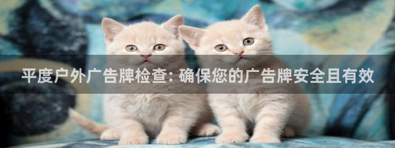 杏宇平台代理怎么样赚钱：平度户外广告牌检查: 确保您的广告牌安全且有效
