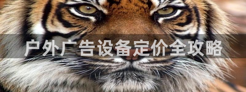杏宇平台总代理电话