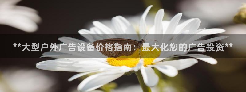 杏宇平台总代理：**大型户外广告设备价格指南：最大化您的广告投资**