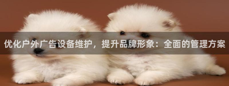 杏宇平台代理多少钱：优化户外广告设备维护，提升品牌形象：全面的管理方案