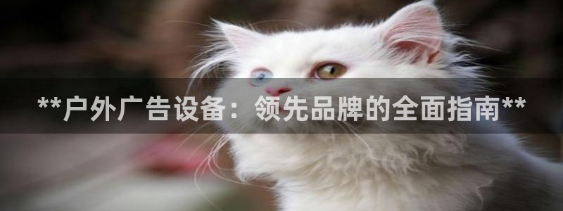 杏宇平台主管：**户外广告设备：领先品牌的全面指南**