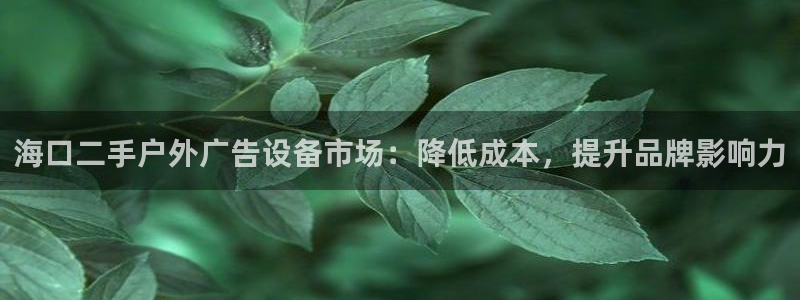 杏宇平台代理怎么样啊：海口二手户外广告设备市场：降低成本，提升品牌影响力