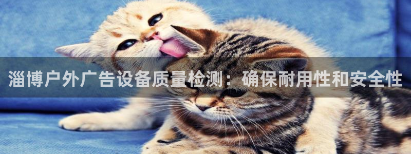 杏宇代理注册：淄博户外广告设备质量检测：确保耐用性和安全性
