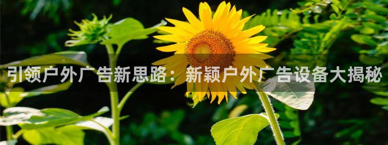 杏宇平台登录步骤图：引领户外广告新思路：新颖户外广告设备大揭秘