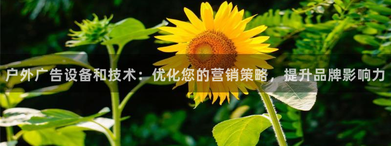 杏宇平台提现为什么这么久呢：户外广告设备和技术：优化您的营销策略，提升品牌影响力