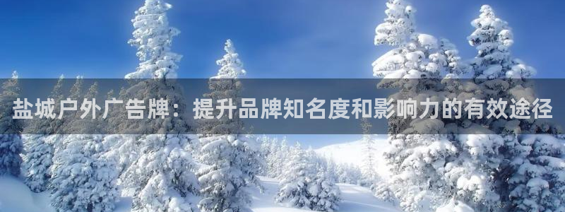 杏宇平台代理多少钱：盐城户外广告牌：提升品牌知名度和影响力的有效途径