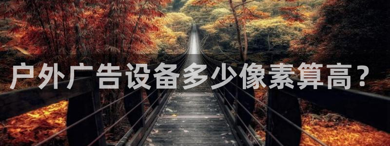 杏宇平台客服