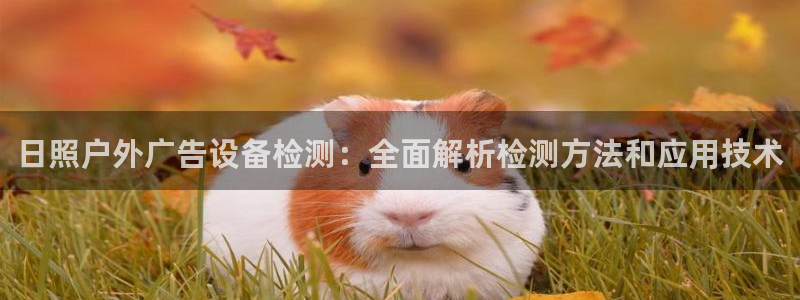 杏宇官方平台官网入口