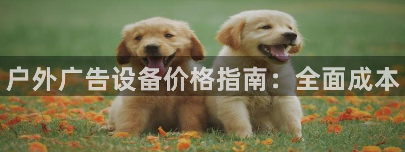 杏宇平台招商电话号码：户外广告设备价格指南：全面成本