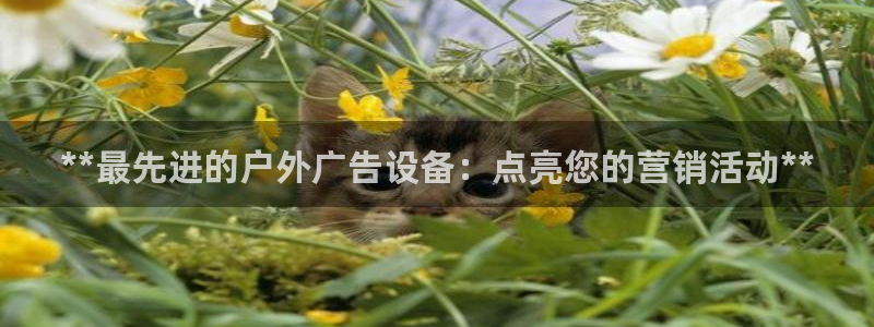 杏宇平台总代理电话：**最先进的户外广告设备：点亮您的营销活动**