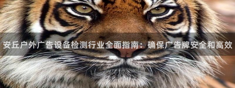 杏宇平台好吗：安丘户外广告设备检测行业全面指南：确保广告牌安全和高效