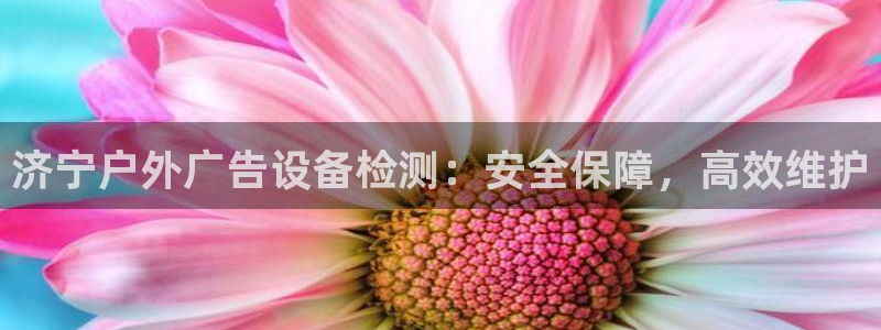 杏宇平台代理怎么样