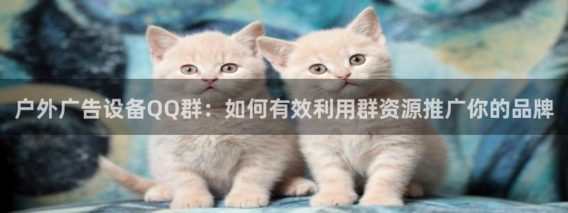 杏宇平台怎么样赚钱：户外广告设备QQ群：如何有效利用群资源推广你的品牌