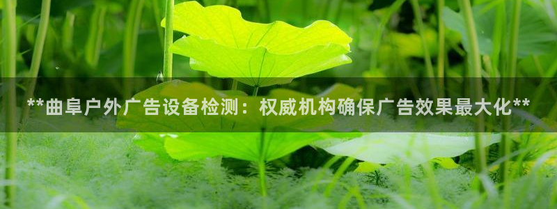 杏宇平台代理怎么样：**曲阜户外广告设备检测：权威机构确保广告效果最大化**